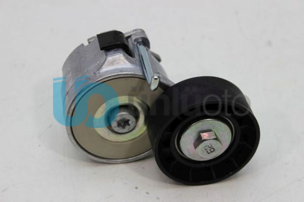 Alternatör Gergi Rulmanı (Kütüklü) 1.3 - Fiat Grande Punto Linea Punto Fiorino Punto Evo Alfa Romeo Mito