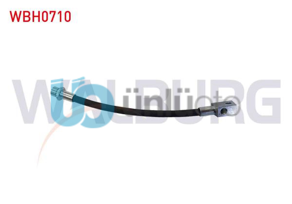 FREN HORTUMU ARKA SOL IC 250mm HONDA JAZZ III (GE) 2002-2008