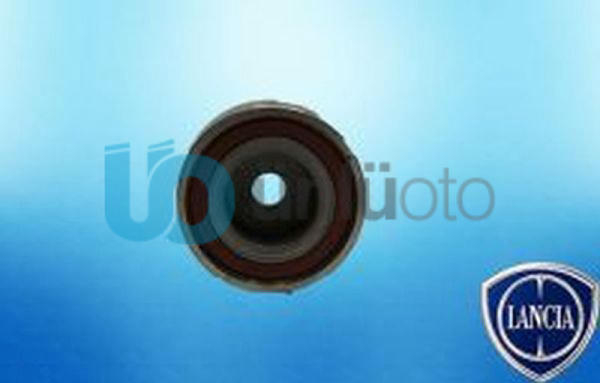 GERGİ RULMANI 1.6   BM/PA