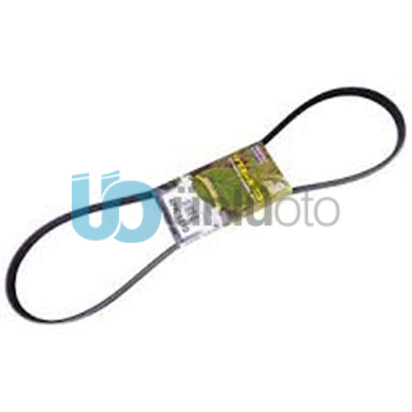 KANALLI KAYIŞ PEU 205 1.8 CLIO G4PK1213 48382