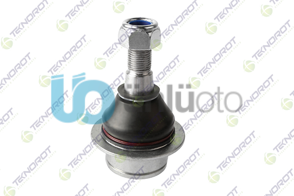 ROTIL ON ALT FORD TRANSIT 2014- / FORD TRANSIT CUSTOM 2012-