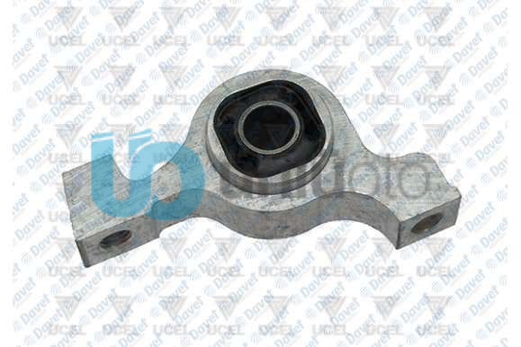 SALINCAK BURCU ARKA  SAG / SOL  C5 III 08-BUYUK BURCLU